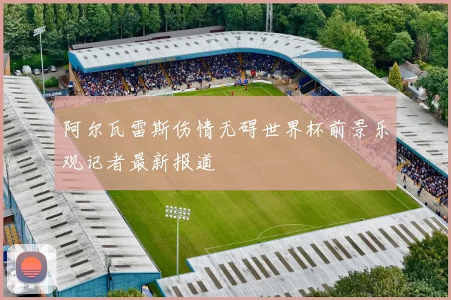 阿尔瓦雷斯伤情无碍世界杯前景乐观记者最新报道